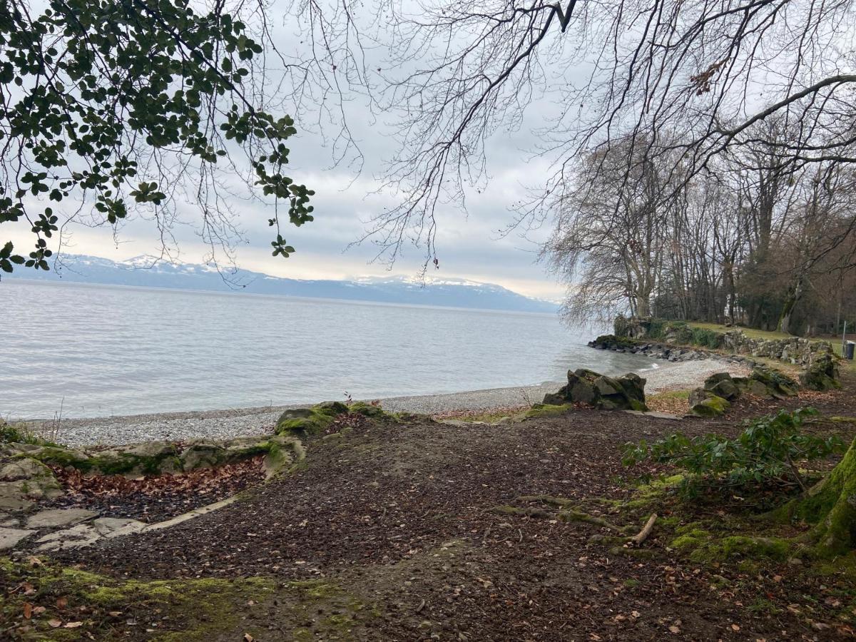 Bord De Lac,2 Chambres Superbe Vue Lac 5Mn Evian Lugrin Eksteriør billede