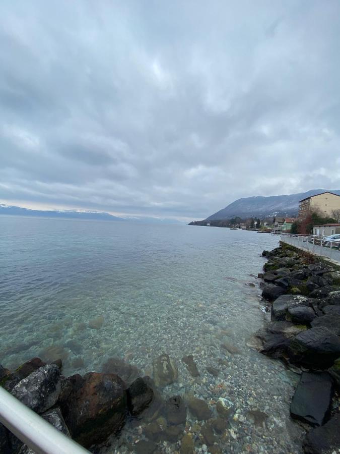 Bord De Lac,2 Chambres Superbe Vue Lac 5Mn Evian Lugrin Eksteriør billede