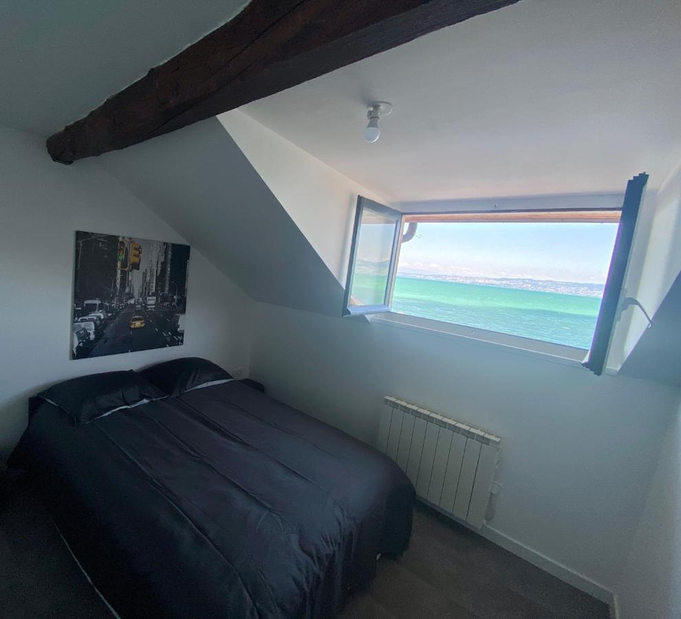 Bord De Lac,2 Chambres Superbe Vue Lac 5Mn Evian Lugrin Eksteriør billede