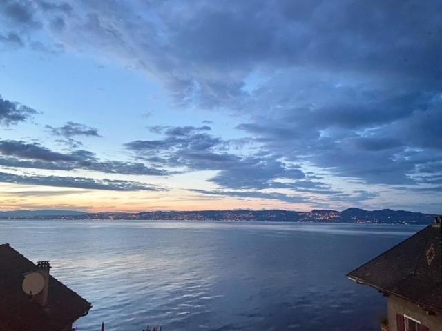 Bord De Lac,2 Chambres Superbe Vue Lac 5Mn Evian Lugrin Eksteriør billede